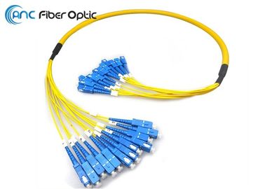corde de correction optique de fibre de 12F 24F