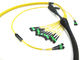 Câbles équipés optiques de fibre du SM OM3 OM4 MPO adaptés aux besoins du client pour le câblage de 40G 100G
